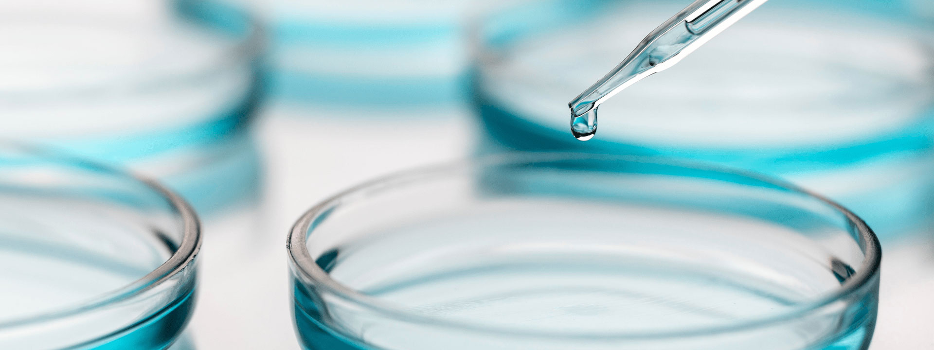An eyedropper hovering over a petri dish